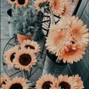 Meet your Posher, Dallas